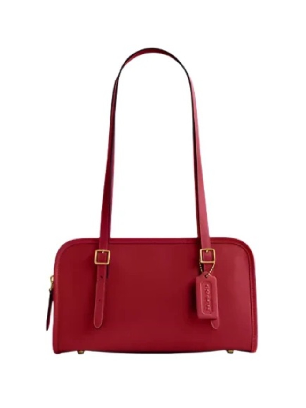 Coach Ruby Swing Zip Leather Shoulder Bag